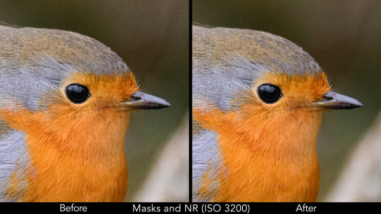 Side by side crop of the Robin photo at 7200 ISO, showing the before and after post editing.