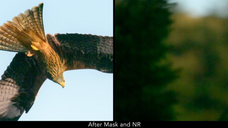 Image crop showing the result after post editing.
