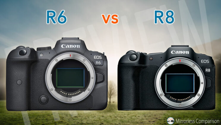 Canon R6 and R8 side by side