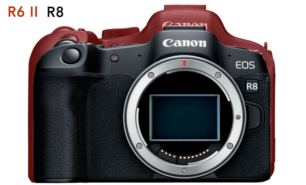 EOS R8 vs EOS R6 Mark II - Canon Ireland