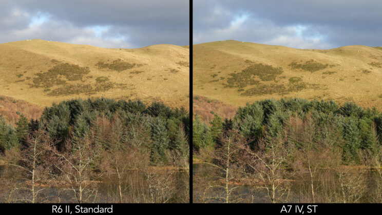 Side by side landscape scene showing the difference in colours with the standard profile.