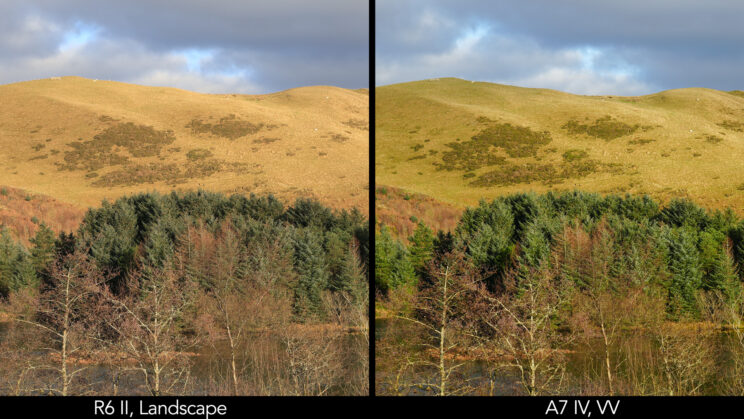 Side by side landscape scene showing the difference in colours with the Landscape profile on the R6 II, Vivid profile on the A7 IV.