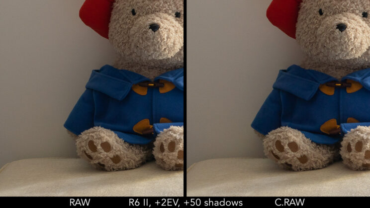 Side by side crop between RAW and C.RAW showing the quality with a 2 stops recovery