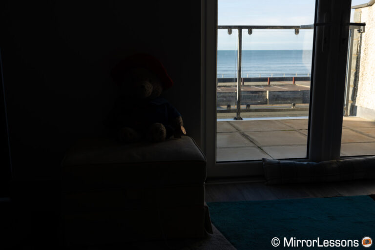 Canon R6 vs R8 - The 10 Main Differences - Mirrorless Comparison