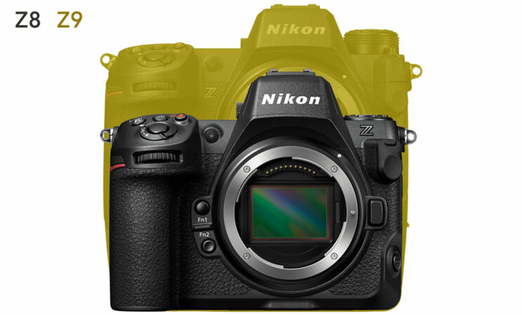 Difference in size between the Nikon Z8 and Z9