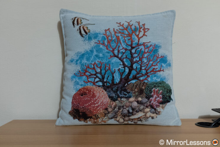 Pillow with colorful decoration