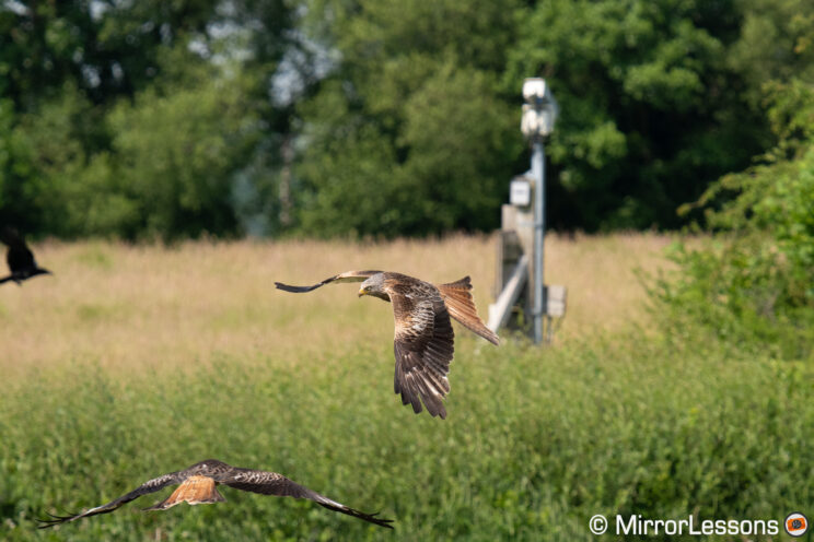 Red kite flying, with pole in the background perfectly straight