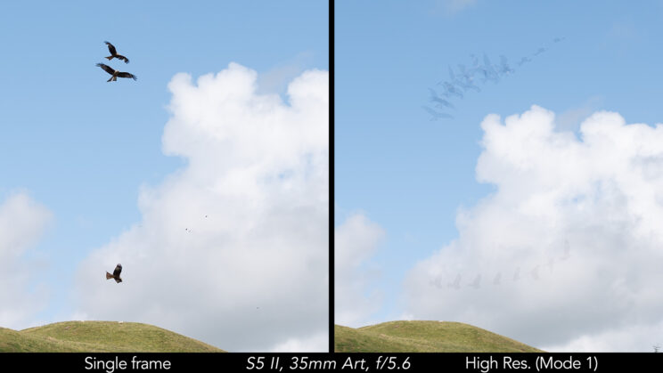 Side by side crop showing the ghost-like effect on the birds in the sky on the high resolution image.