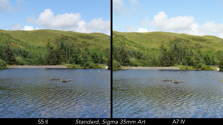 Side by side landscape image showing the colours produced by the S5 II and A7 IV with the standard profile.