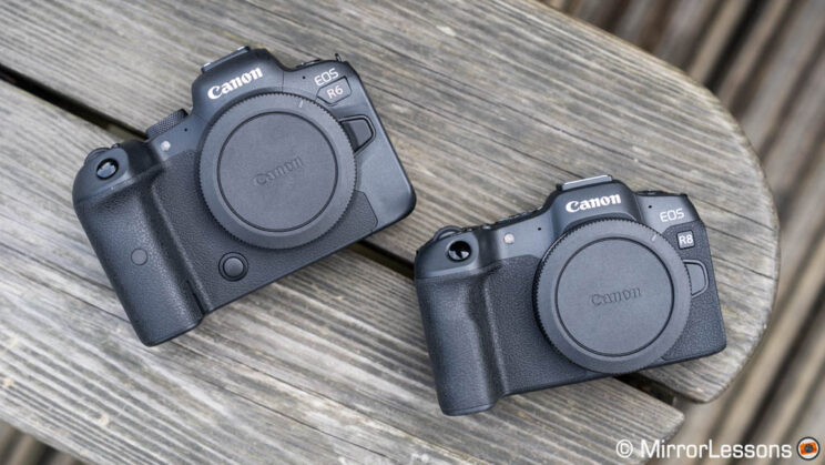Canon R6 and R8 side by side, without lenses