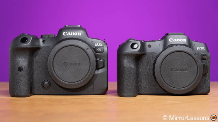 Canon R6 and R8 side by side, front view
