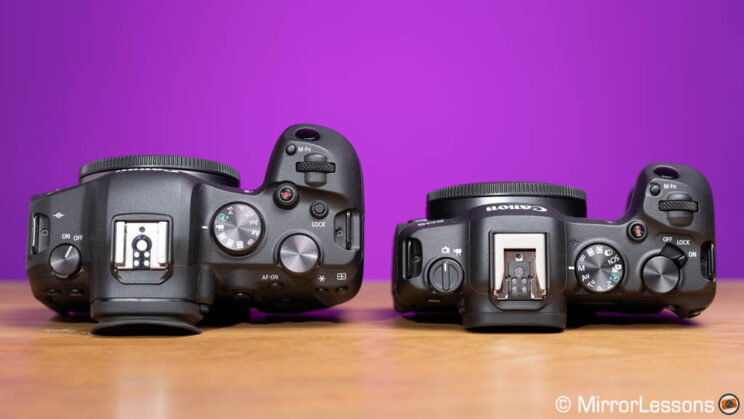Canon R6 and R8 side by side, top view