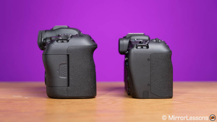 Canon R6 and R8, side view