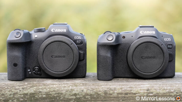 Canon R7 and R8 side by side
