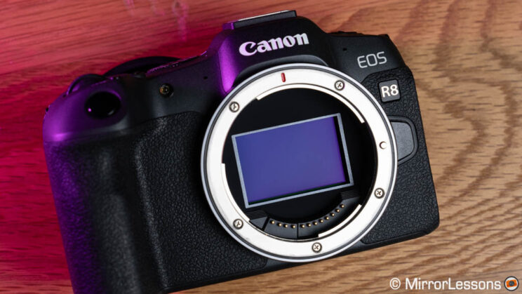 Canon R8 sensor