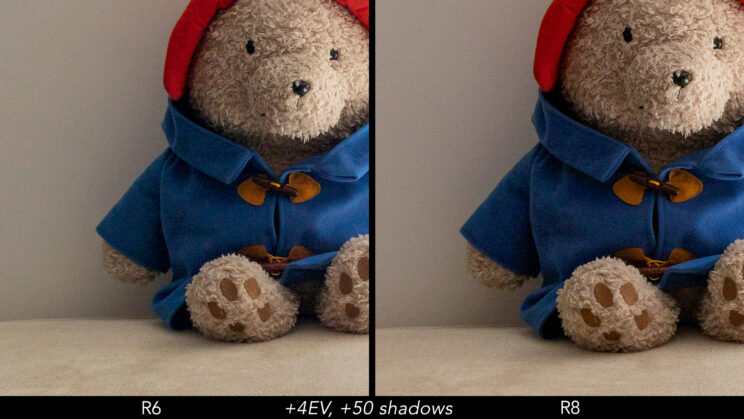 Side by side crop showing the quality of the R6 and R8 after a 4 stops and +50 shadows recovery.