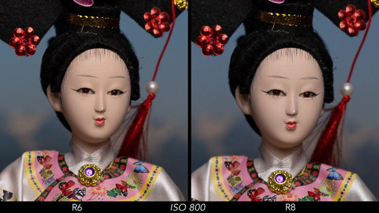 Canon R6 vs R8 - The 10 Main Differences and Full Comparison ...