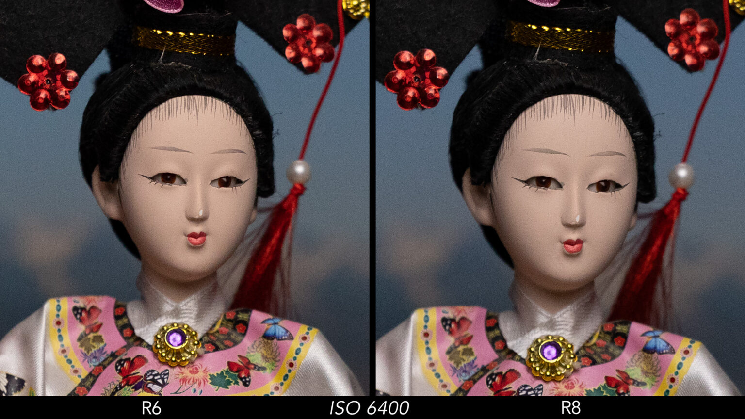 Canon R6 vs R8 - The 10 Main Differences and Full Comparison ...