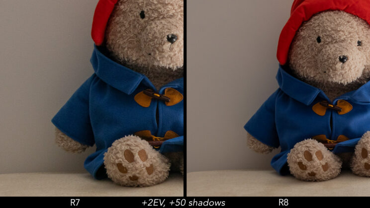 Side by side crop showing the quality of the R7 and R8 after a 2 stops and +50 shadows recovery.