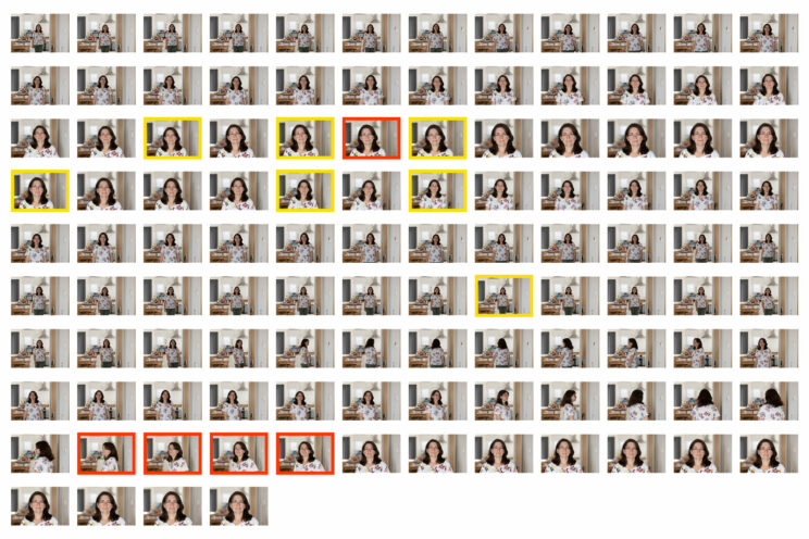Thumbnails illustrating the autofocus sequence and the amount of images in focus for the R8.