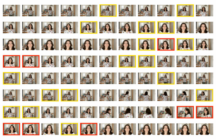 Thumbnails illustrating the autofocus sequence and the amount of images in focus for the RP.