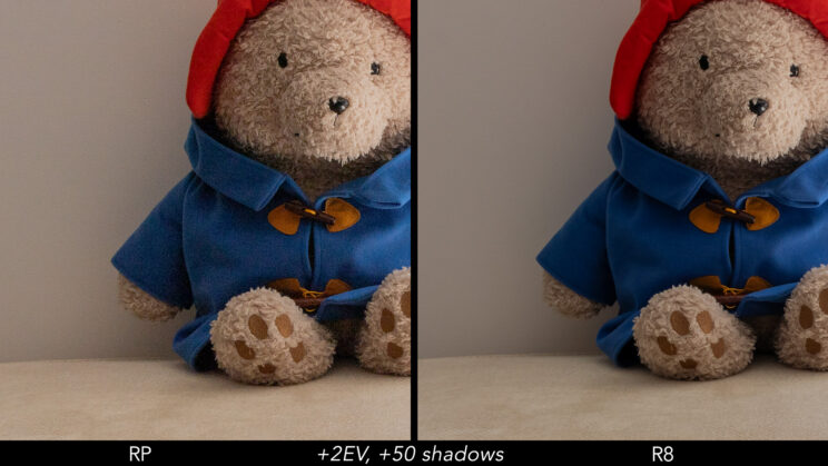 Side by side crop showing the quality of the RP and R8 after a 2 stops and +50 shadows recovery.