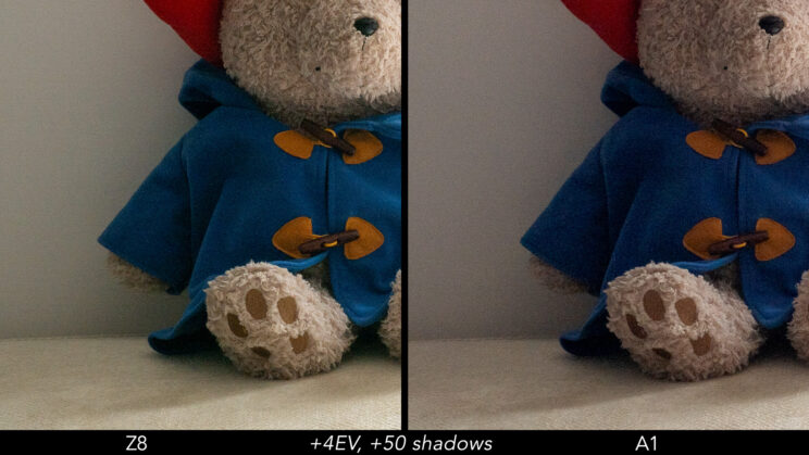 Side by side crop showing the quality of the Nikon Z8 and Sony A1 after a 4 stops recovery in the shadows.