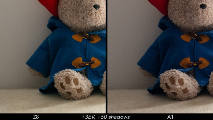 Side by side crop showing the quality of the Nikon Z8 and Sony A1 after a 3 stops recovery in the shadows.