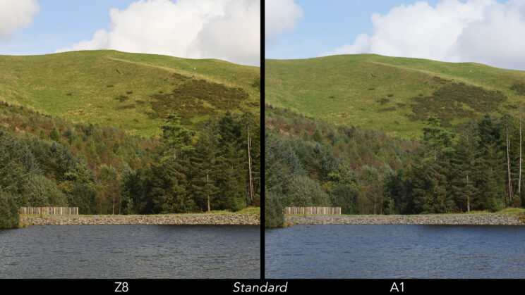 Side by side landscape photo showing the difference in colours with the standard profile.