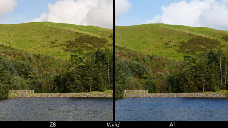 Side by side landscape photo showing the difference in colours with the vivid profile.