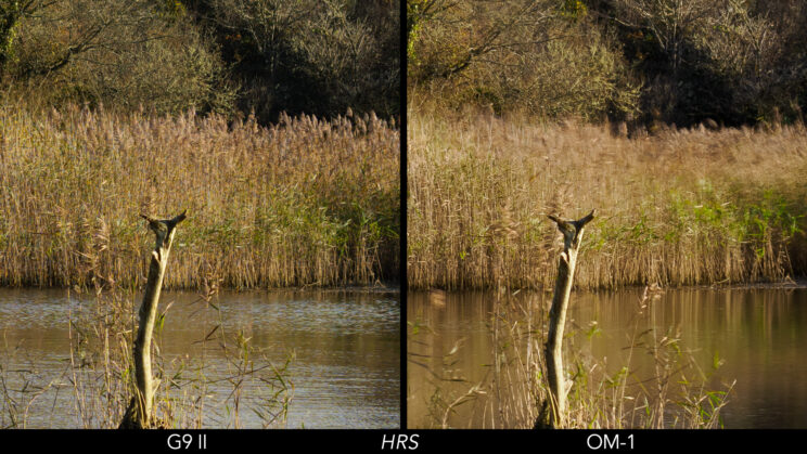 Side by side crop showing motion correction on the G9 II and the lack of it on the OM-1.