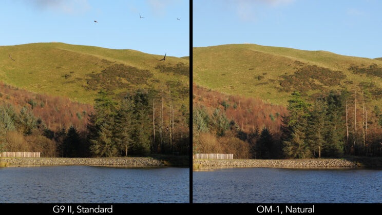Side by side image of a landscape scene taken with the two cameras and their standard profiles (called Natural on the OM-1).