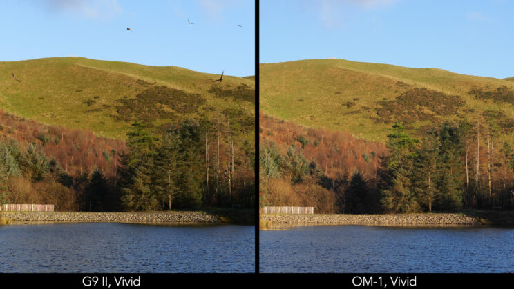 Side by side image of a landscape scene taken with the two cameras and their vivid profiles.